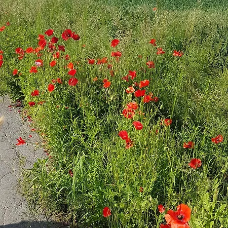 Bobi - 2 Schlafzimmer, Balkon, W-lan, Parkplatz Апартаменты Дортмунд