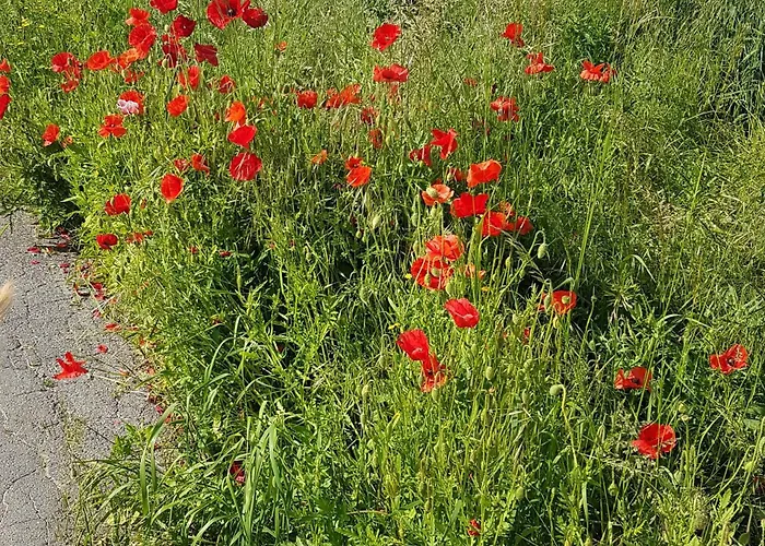 Bobi - 2 Schlafzimmer, Balkon, W-lan, Parkplatz Apartmán Dortmund